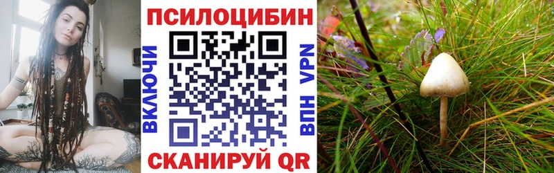 Галлюциногенные грибы MAGIC MUSHROOMS  купить наркотик  Лакинск 